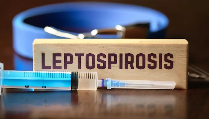 leptospirosis